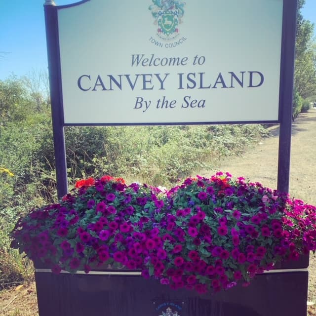 Grounds maintenance work 13