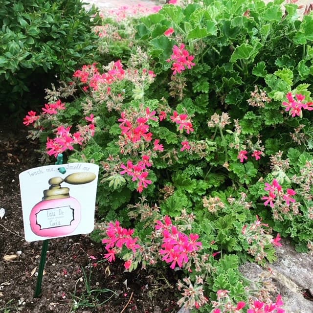 Grounds maintenance work 14