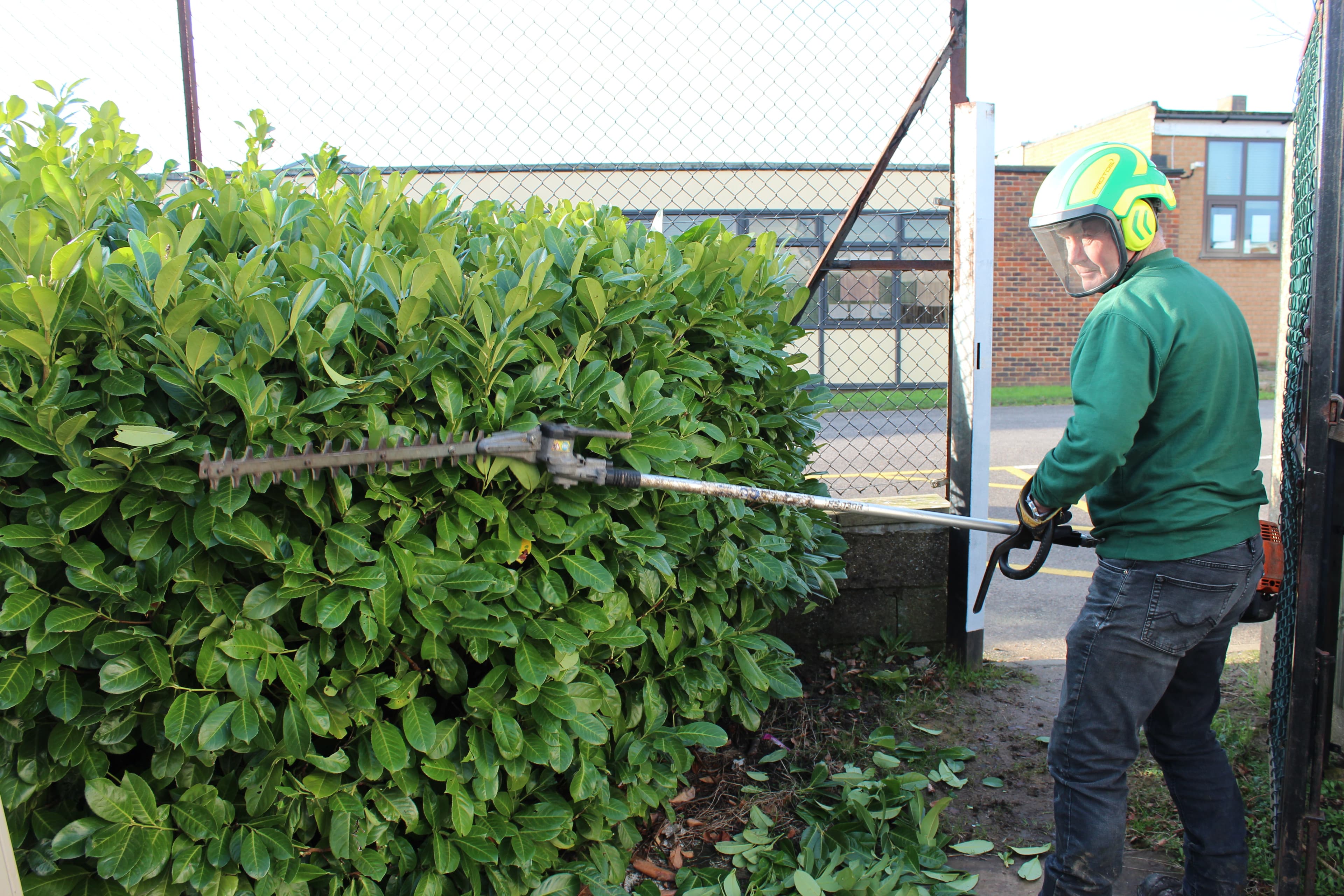 Trees, Hedges and Planting